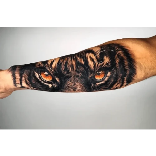 Why Is the Meaning of Tiger Tattoos Becoming So Popular?