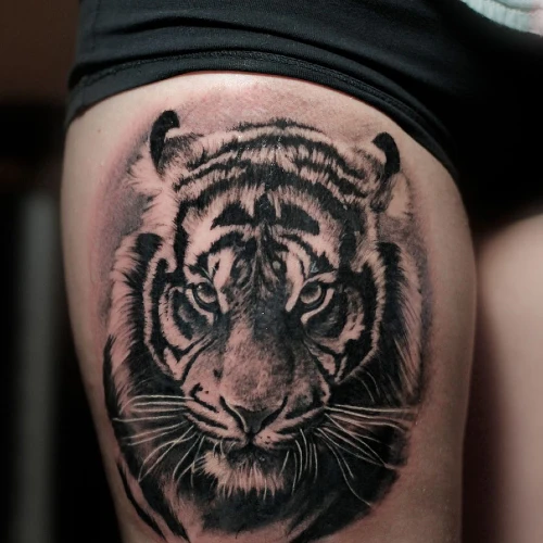 introduction of tigger tattoo meaning